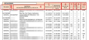 Vida laboral documento